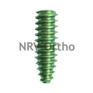 INTERFERENCE SCREW (TT)