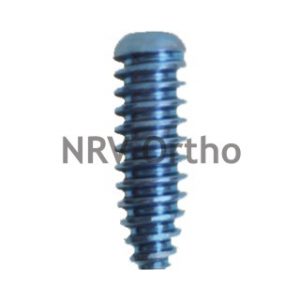 INTERFERENCE SCREW